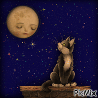 Sleepless_Moon GIF animé
