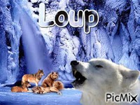 loup + meute = famille - Ingyenes animált GIF
