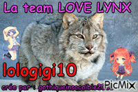 badge lologigi10 - Gratis animerad GIF