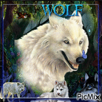 Wolf 动画 GIF