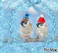 Birds 🐦 Snow - GIF animé gratuit