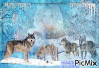 Wölfe im Schnee - GIF animé gratuit