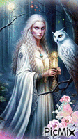 Fairy and Owl Animated GIF