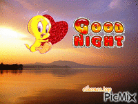 Good night Animated GIF