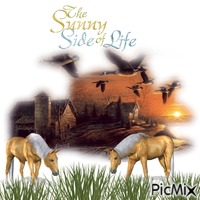 The Sunny Side Of Life animovaný GIF