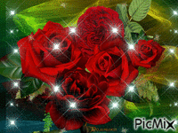 красные розы - Free animated GIF