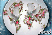 O mundo precisa de saúde e paz! - Animovaný GIF zadarmo