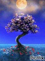 albero - GIF animé gratuit