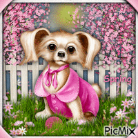 Spring with a Dog-RM-02-16-24 - Бесплатный анимированный гифка