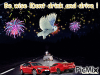 OWL DONT DRINK AND DRIVE animált GIF
