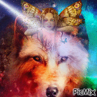 wolf and fairy 动画 GIF