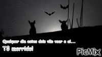 Cães Morcego animerad GIF