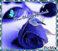 Fleur-bleu - Nemokamas animacinis gif