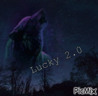 lucky 2.0 - Безплатен анимиран GIF