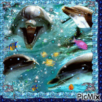 dauphins animovaný GIF