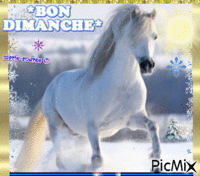 Neige,Hiver & Soleil - Un beau cheval blanc -- Bon dimanche. Gif Animado