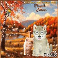 Magical Autumn. The years last, loveliest smile animeret GIF
