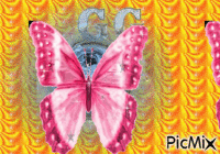 Papillon G&G - Gratis animeret GIF