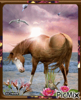 The horse looking at the bird. - GIF animasi gratis