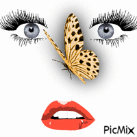 Бабочка-Papillon - Besplatni animirani GIF