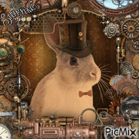 Rabbit Portrait - GIF animé gratuit