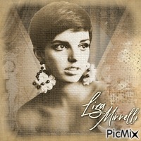 Liza Minnelli - PNG gratuit