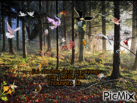 oiseau fée - Zdarma animovaný GIF