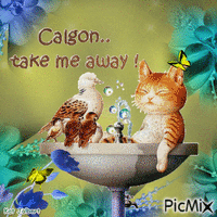 Calgon, Take me away!