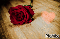 Rosa posando en madera - GIF animado gratis