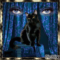 BLACK CAT - Gratis geanimeerde GIF