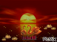 влюбленные лебеди - 免费动画 GIF