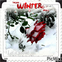 Happy Winter Day. Rose in the snow animasyonlu GIF