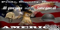 veterans day owl animowany gif