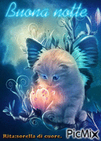 gattino - GIF animate gratis