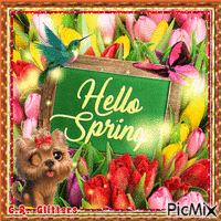 Hello Spring - GIF animé gratuit