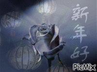 la rose animovaný GIF