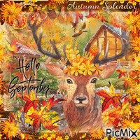 Hello September animals - Δωρεάν κινούμενο GIF