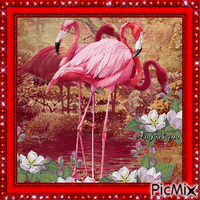 Les flamants roses... 💗💟💗 GIF animado