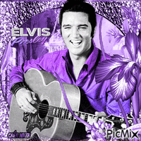 Elvis animuotas GIF
