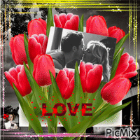 Couple et tulipes