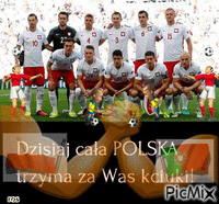 POLSKA-PORTUGALIA animuotas GIF