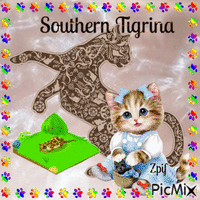 Southern Tigrina animovaný GIF