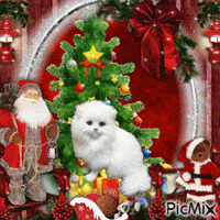 Gato navideño - Gratis animerad GIF