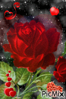 Rose animēts GIF