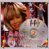 Tina TURNER - best singer - GIF animé gratuit