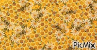 bees Animated GIF