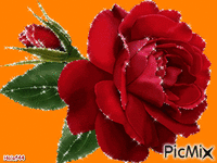Je vous offre cette rose - GIF animado grátis