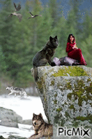 mes amours les loups - GIF animé gratuit