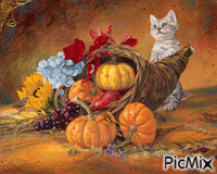 chat d automne - GIF animado gratis