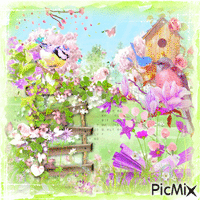 Spring and birds 动画 GIF